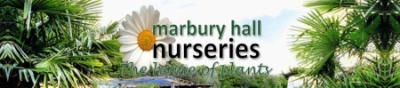 MARBURY HALL NURSERIES